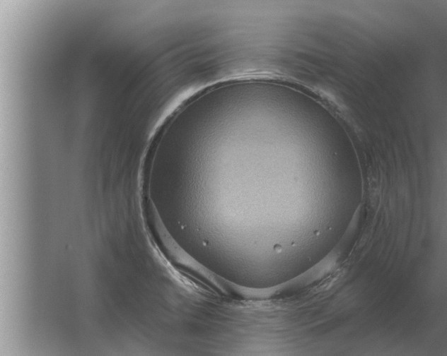 X0000063511422200602032032