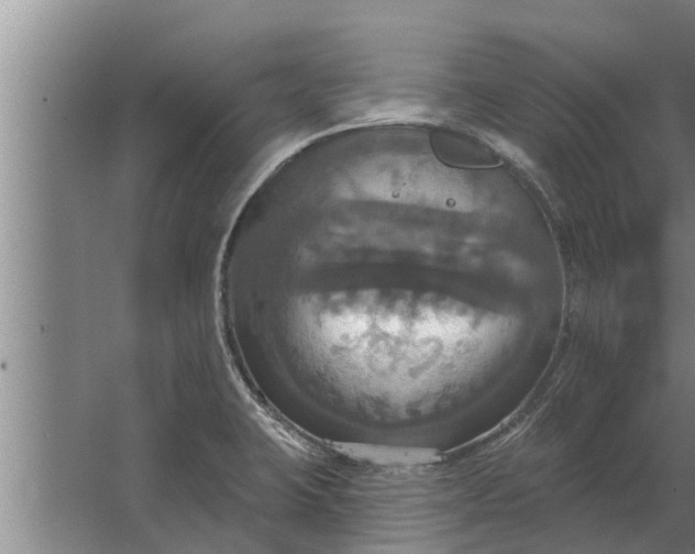 X0000063511423200602032032