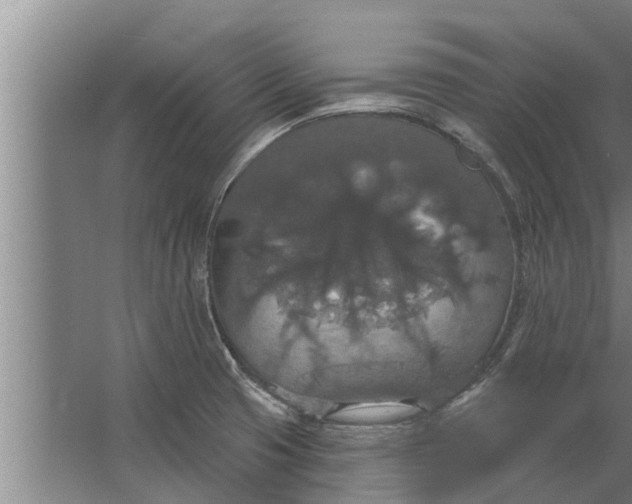 X0000063511425200602032032