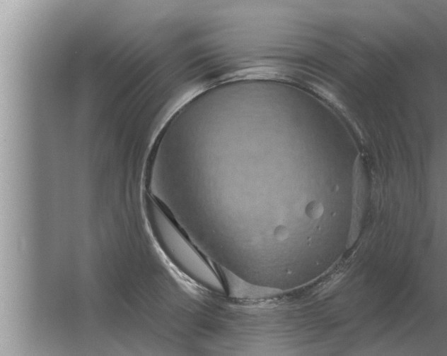 X0000063511426200602032032