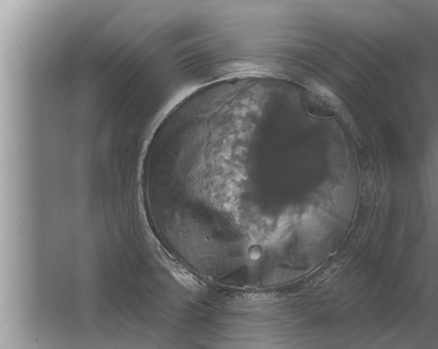 X0000063511427200602032032