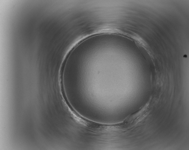 X0000063511430200602032032