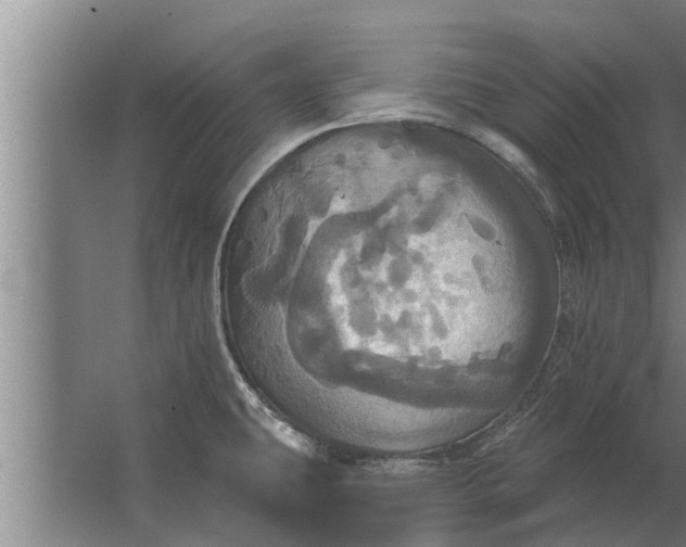 X0000063511431200602032032