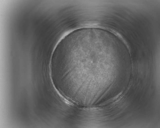 X0000063511432200602032032