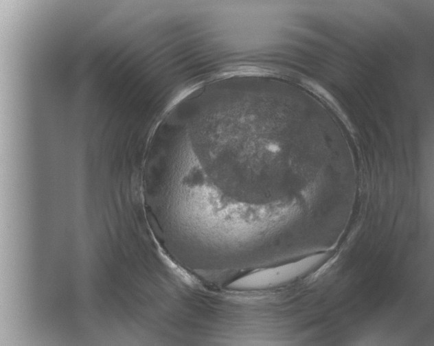 X0000063511433200602032032