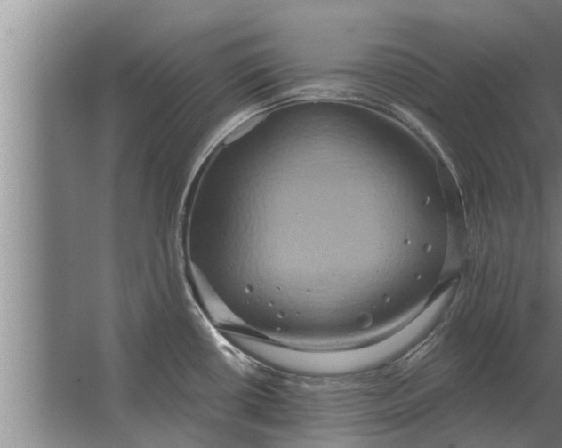 X0000063511434200602032032