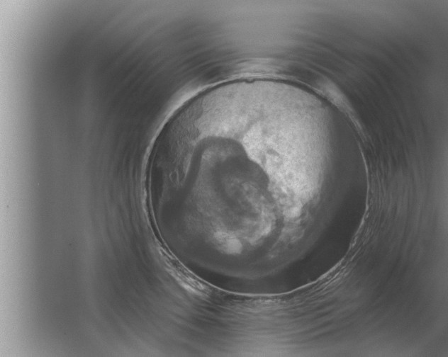 X0000063511435200602032032