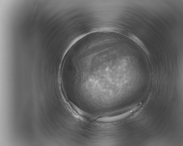 X0000063511436200602032032