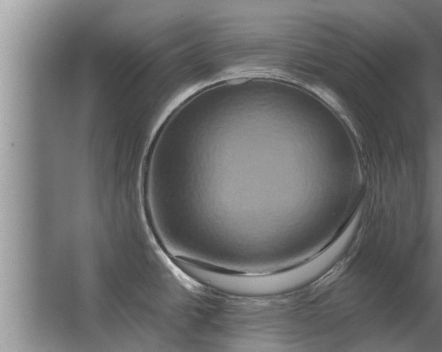 X0000063511438200602032032