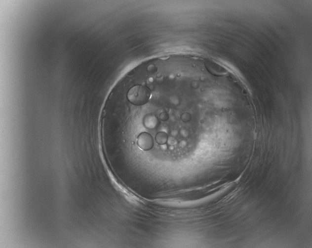 X0000063511439200602032032