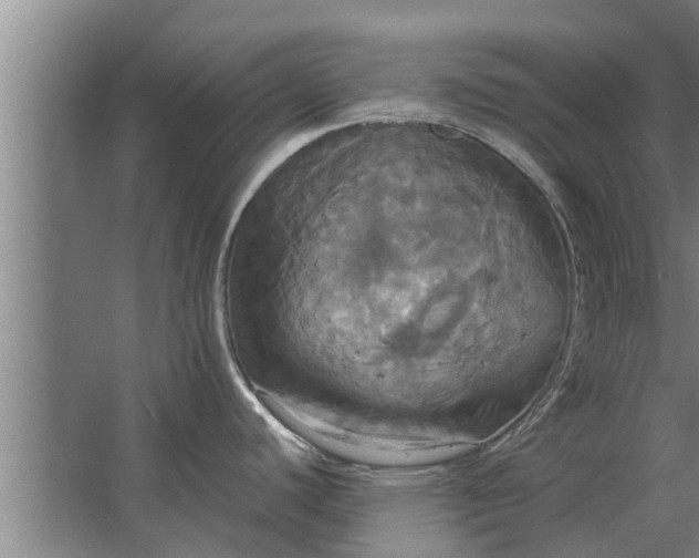 X0000063511440200602032032