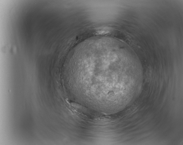 X0000063511441200602032031