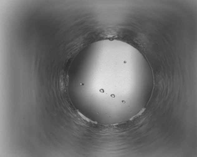 X0000063511442200602032031