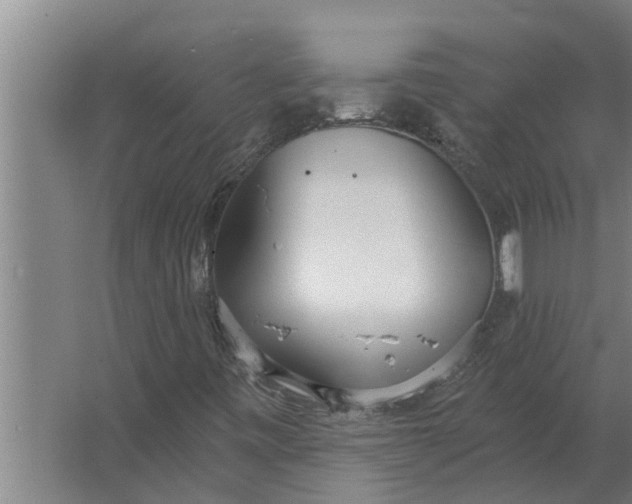 X0000063511443200602032031