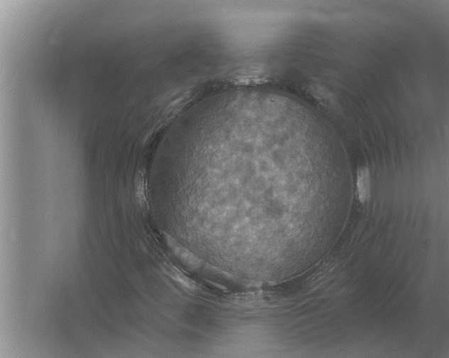 X0000063511444200602032031