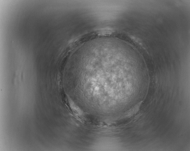 X0000063511445200602032031