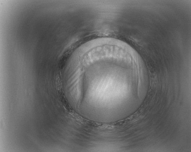 X0000063511446200602032031