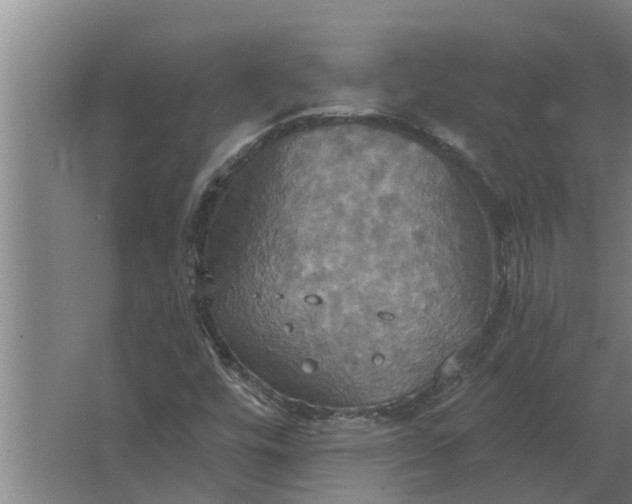 X0000063511448200602032031