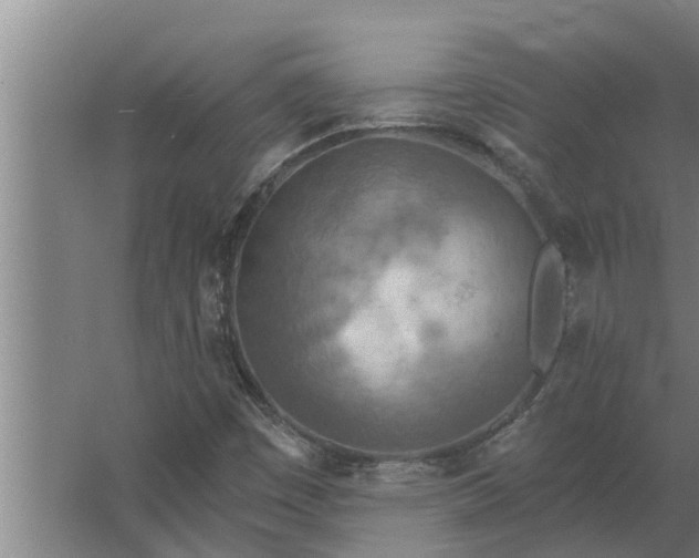 X0000063511449200602032031