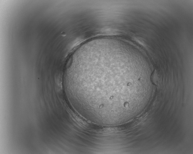 X0000063511451200602032031