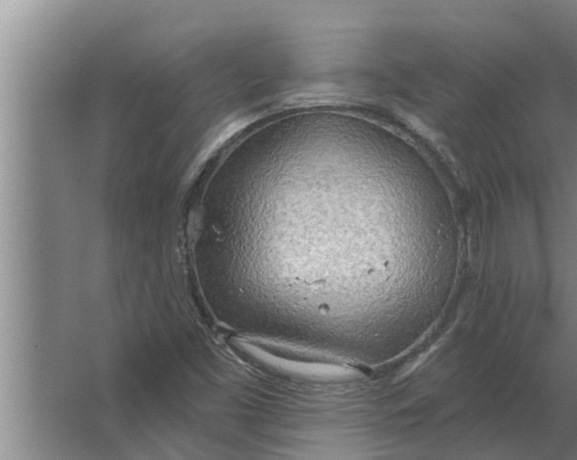 X0000063511453200602032031