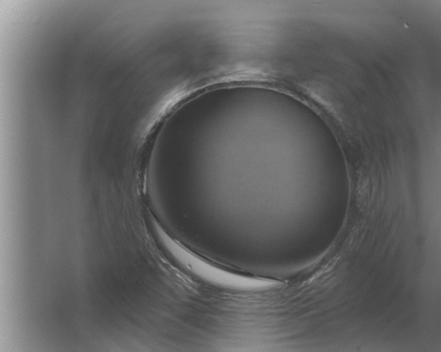 X0000063511455200602032031