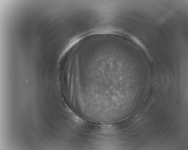 X0000063511456200602032031