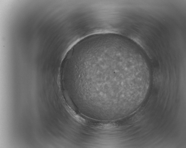 X0000063511460200602032031