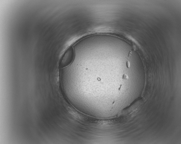 X0000063511461200602032031