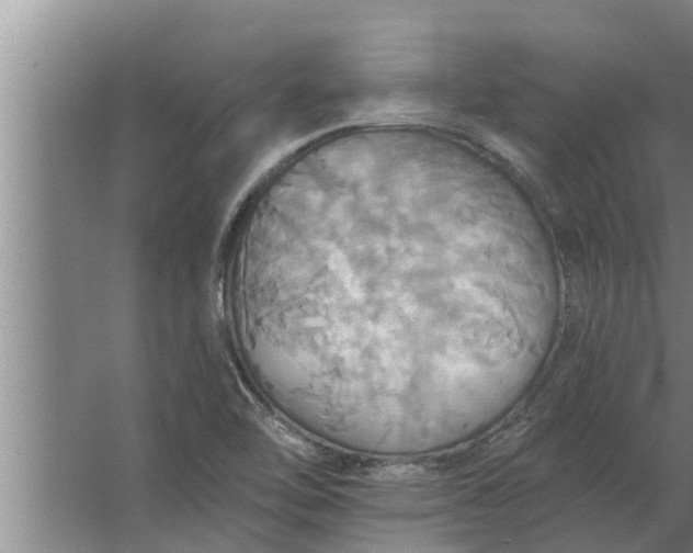 X0000063511462200602032031