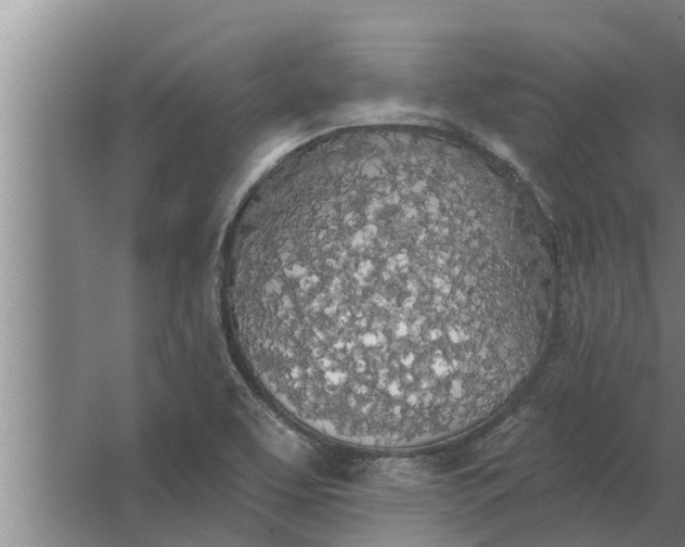 X0000063511463200602032031