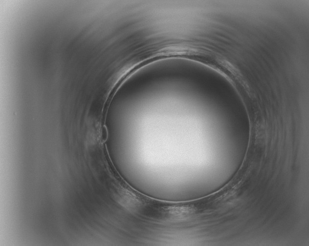 X0000063511465200602032031