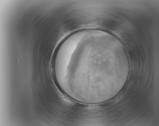 X0000063511466200602032031