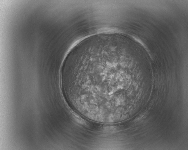 X0000063511467200602032031