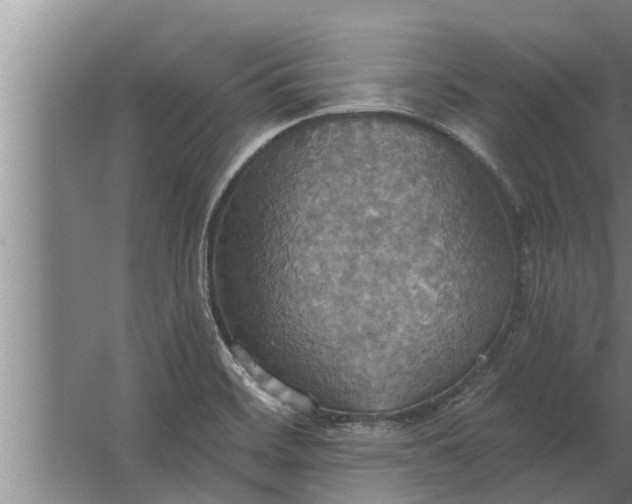 X0000063511468200602032031