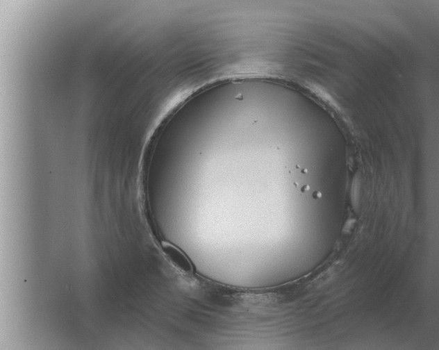 X0000063511469200602032031