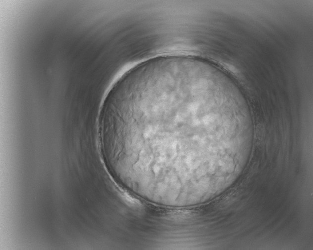 X0000063511470200602032031