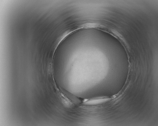 X0000063511473200602032030