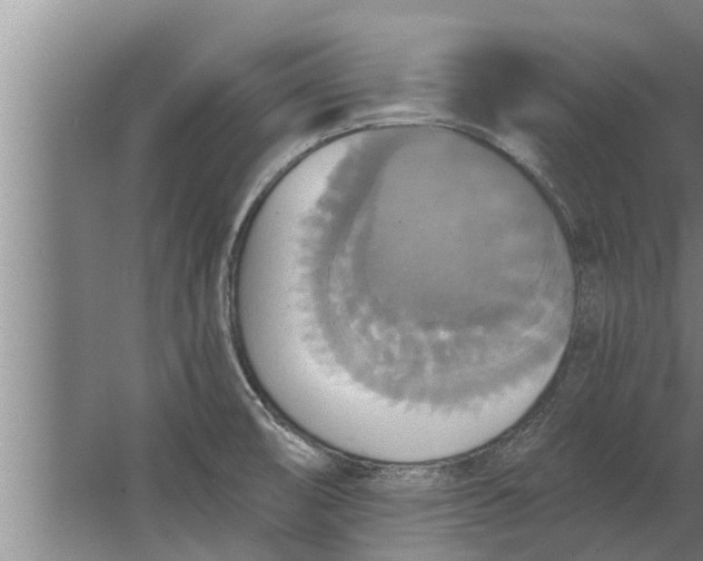 X0000063511474200602032030