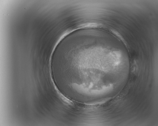 X0000063511475200602032030