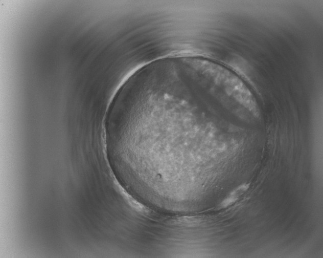 X0000063511476200602032030