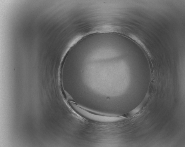 X0000063511477200602032030