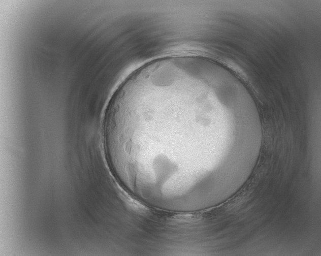 X0000063511478200602032030