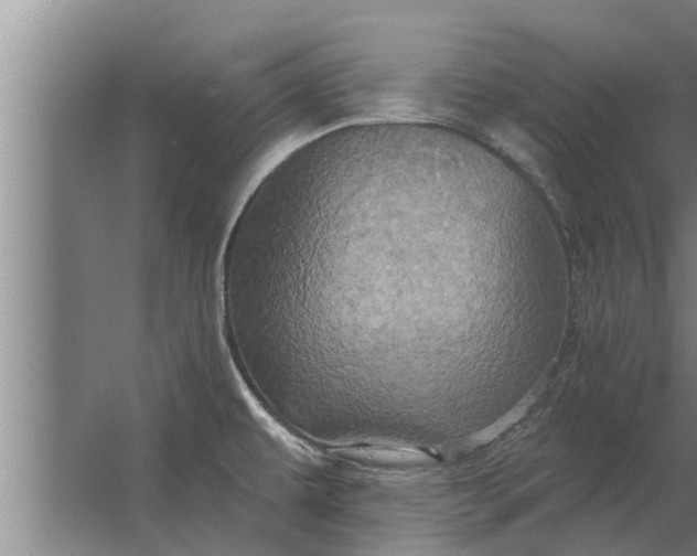 X0000063511479200602032030