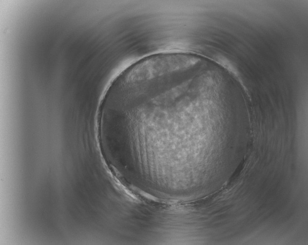 X0000063511480200602032030