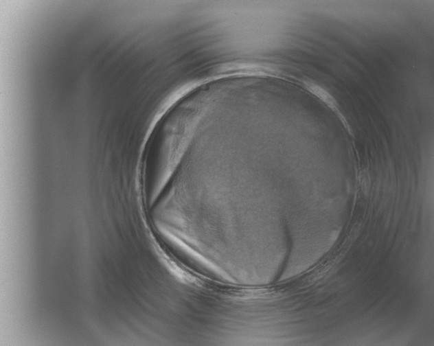 X0000063511482200602032030