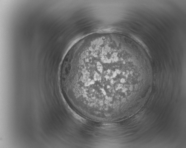 X0000063511483200602032030