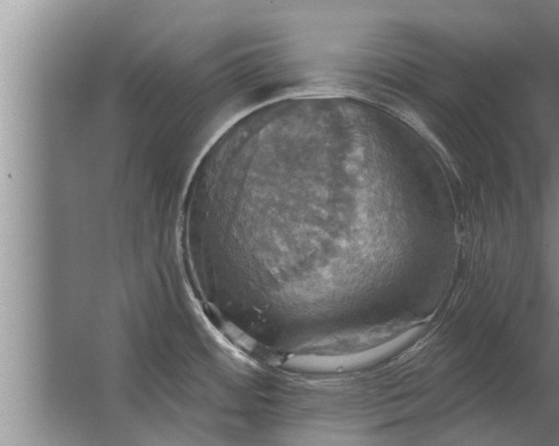 X0000063511484200602032030