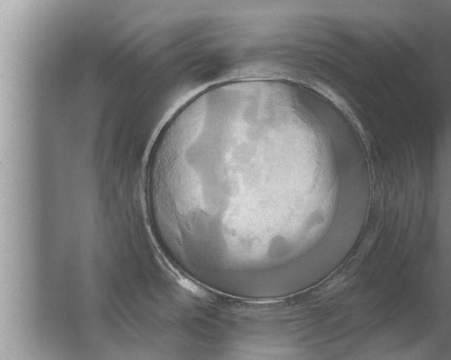 X0000063511486200602032030