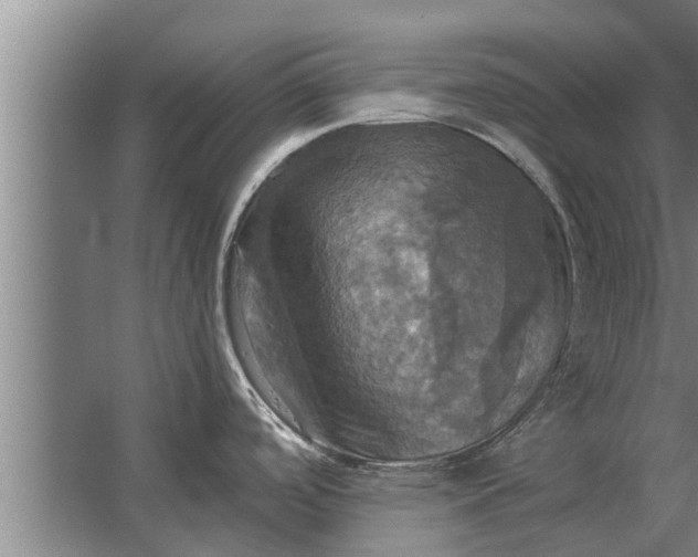 X0000063511488200602032030